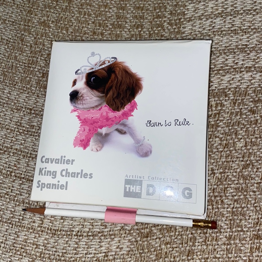 The dog notebook
